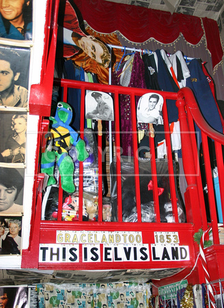 This Is Elvis Land I