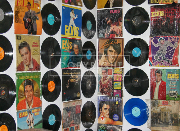 Elvis on Vinyl, Part I
